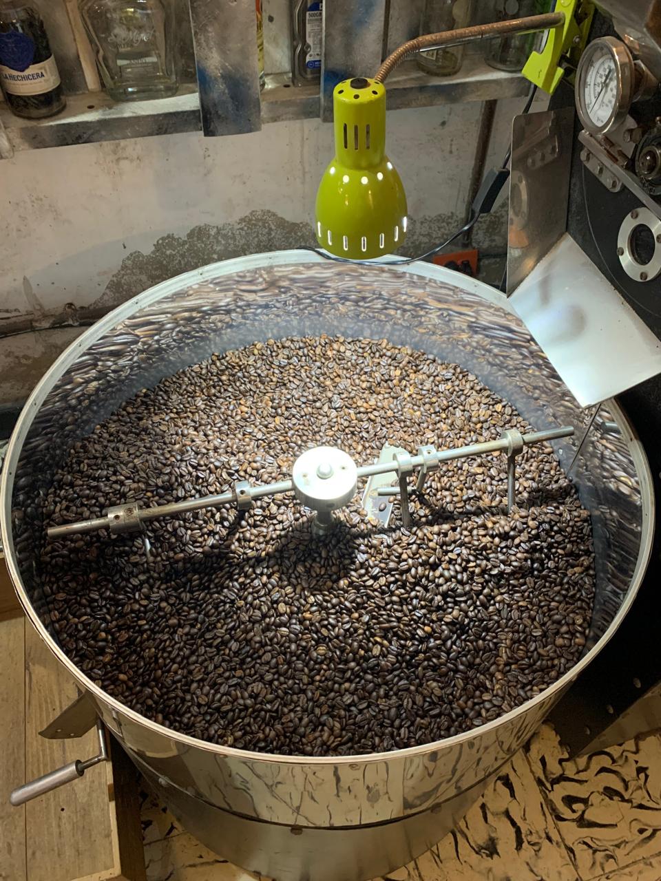 Tambor de la tostadora artesanal lleno de granos de café verde, iluminado por una lámpara verde en el laboratorio de Café del Mural.